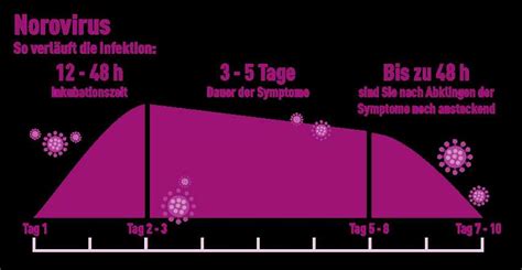 wie lange dauert norovirus